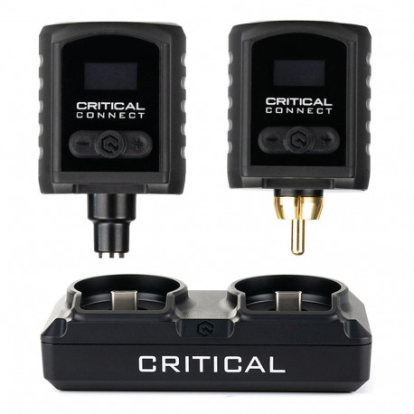 Critical - 2 Batteries (Jack + RCA) + Battery Dock