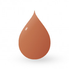 Barva PB Luxe - Subdued Sienna (15 ml) EXP 06/2024