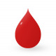 Viking Ink - Scarlet Red (30 ml) EXP 11/2024