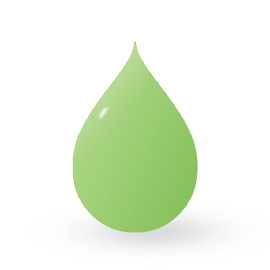 Barva WF Limitless Light Green 1 (30 ml) EXP 11/2024