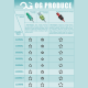 OG Produce Arrow Blue Cartridges - Sample Pack (10 ks)