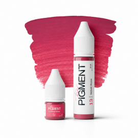 The Pigment - Lips Pigment - 13 Velvet Rose