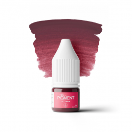 The Pigment - Lips Pigment - 16 Terra (5 ml)