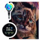 Acus - Acus M2xtd Wireless Tattoo Pen