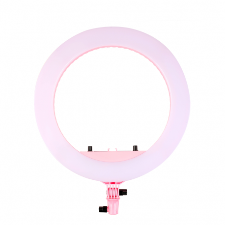 Basic - LED Lamp with Remote Control in Holder - Pink