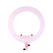 Basic - LED Lamp with Remote Control in Holder - Pink